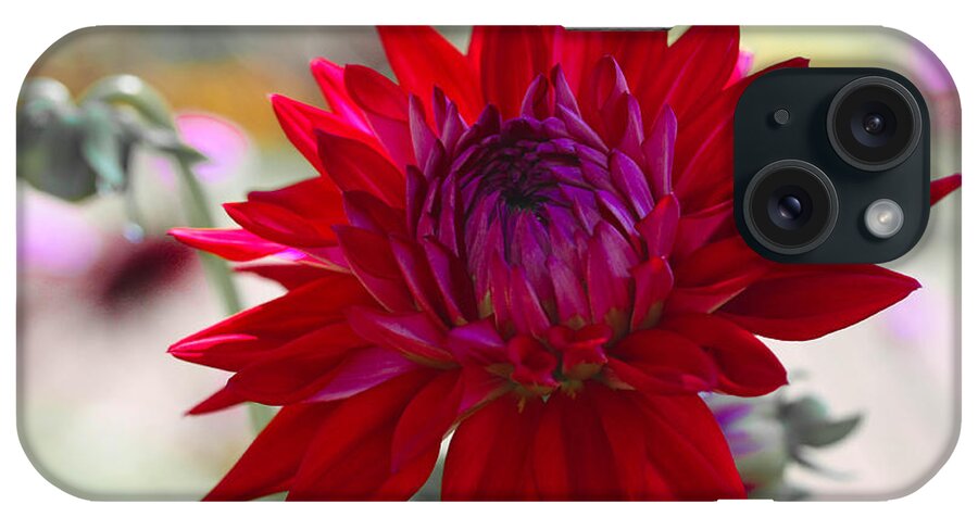 Red iPhone Case featuring the photograph Red Flame by Linda Foakes