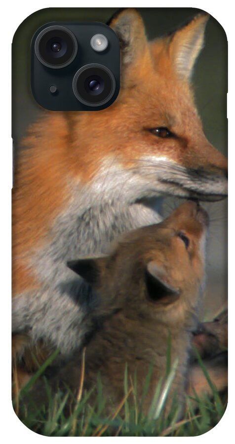 Johnson County iPhone Case featuring the photograph Red Fox Mother and Kits by Jeff Phillippi