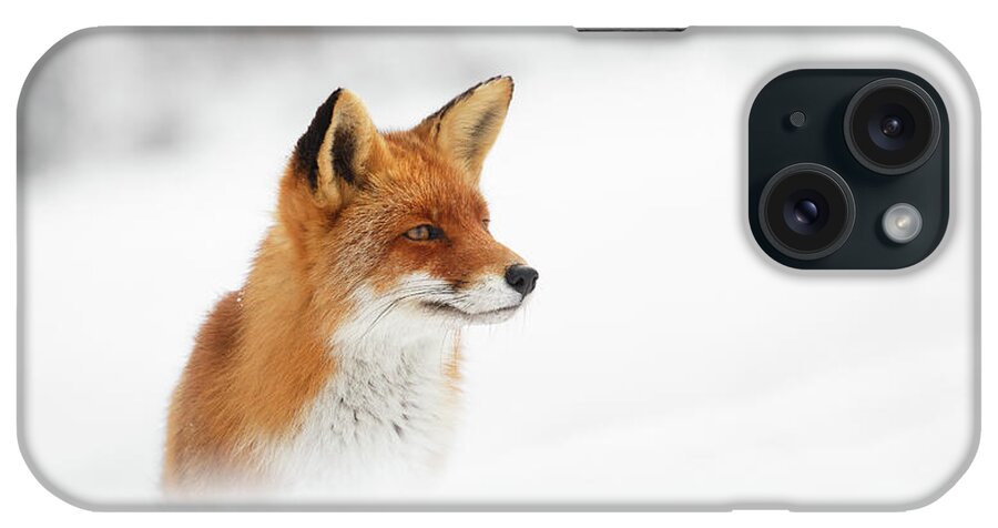 Fox iPhone Case featuring the photograph Red Fox out of the Blue by Roeselien Raimond