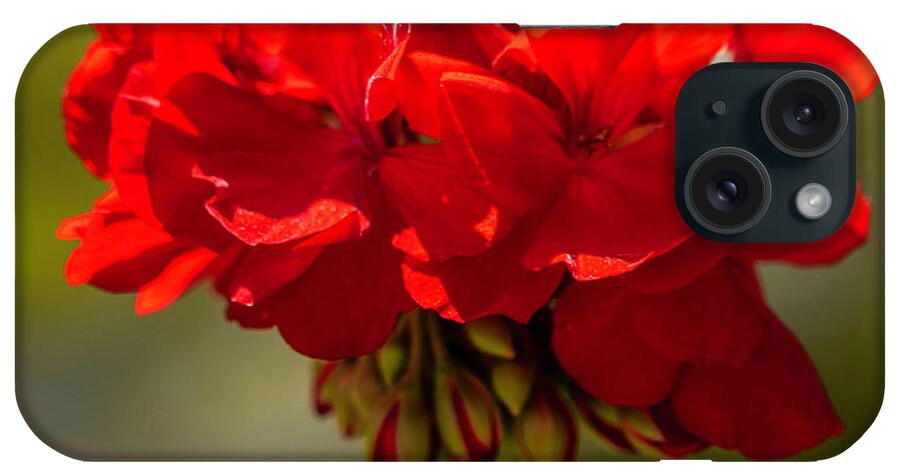 Flower iPhone Case featuring the photograph Red Geranium by Cathy Donohoue