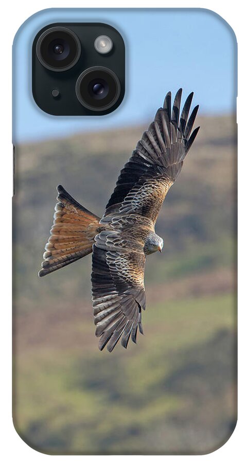 Red iPhone Case featuring the photograph Red Kite by Pete Walkden