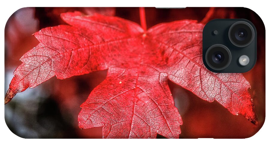 Maple iPhone Case featuring the photograph Red Leaf by Robert Bales
