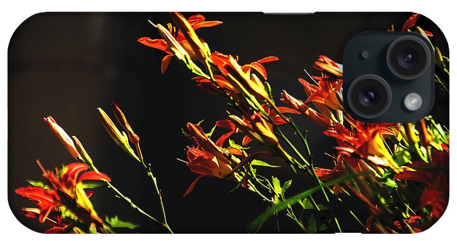 Red iPhone Case featuring the photograph Red, Orange, Lilies by David Frederick