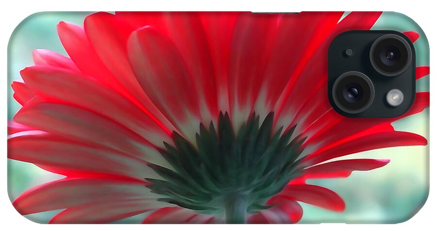 Backside iPhone Case featuring the photograph Red Petals by David T Wilkinson