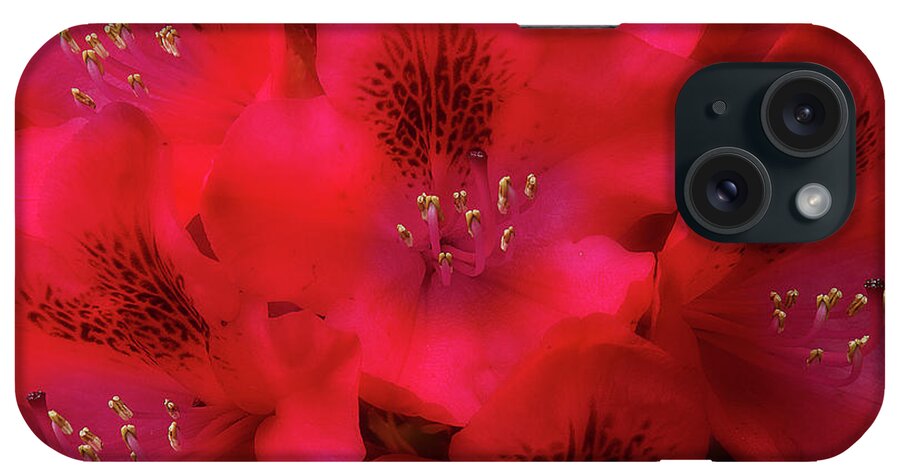 Flowers iPhone Case featuring the photograph Red Petals by Mike Eingle