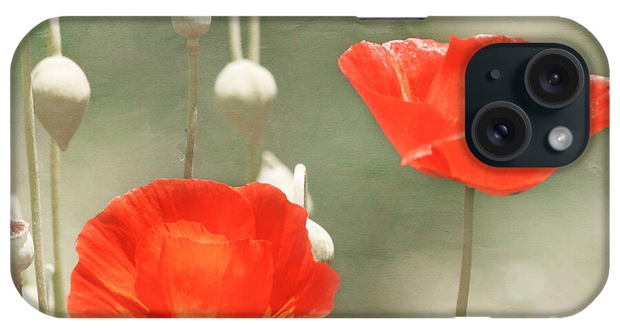 Red Flower iPhone Case featuring the photograph Red Poppies by Kim Hojnacki
