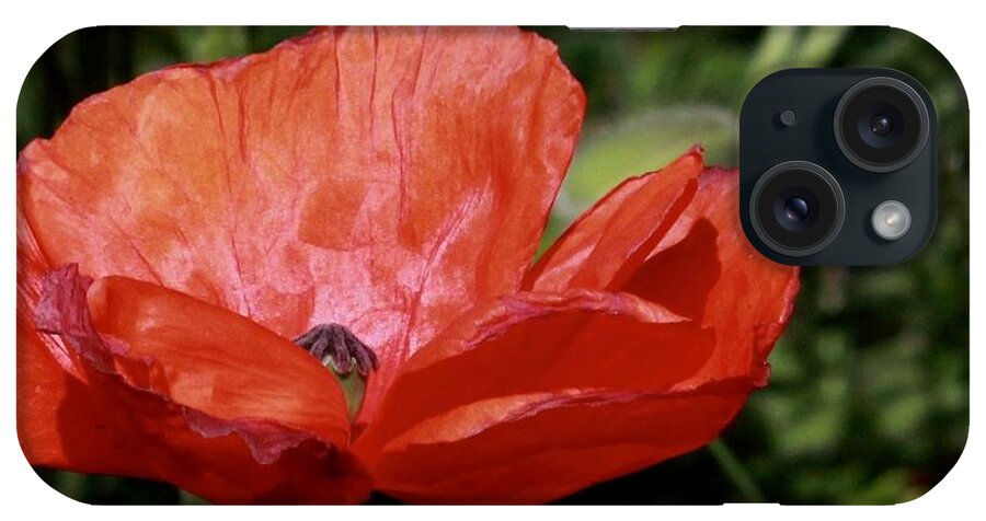 Flower iPhone Case featuring the photograph Red Poppy by Sarah Lilja