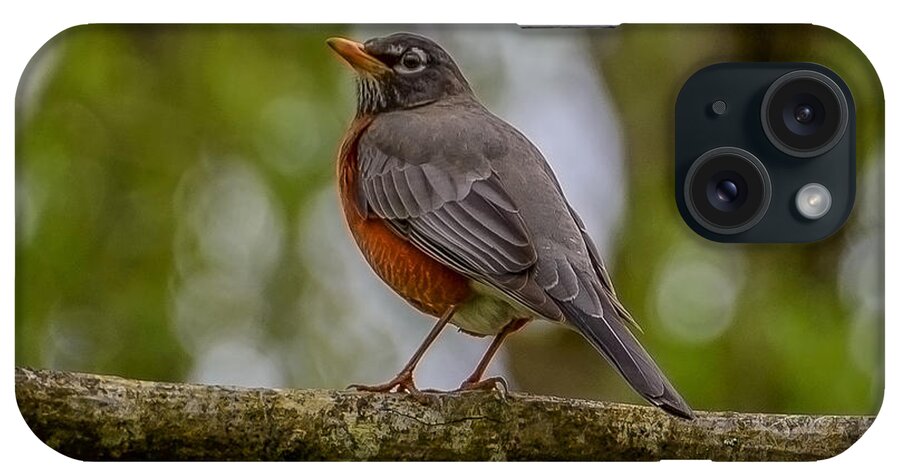 Robin iPhone Case featuring the photograph Red robin by Jerry Cahill