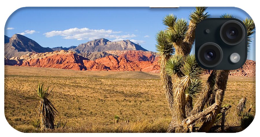 Red Rock Canyon iPhone Case featuring the photograph Red Rock Canyon by Tim Hightower