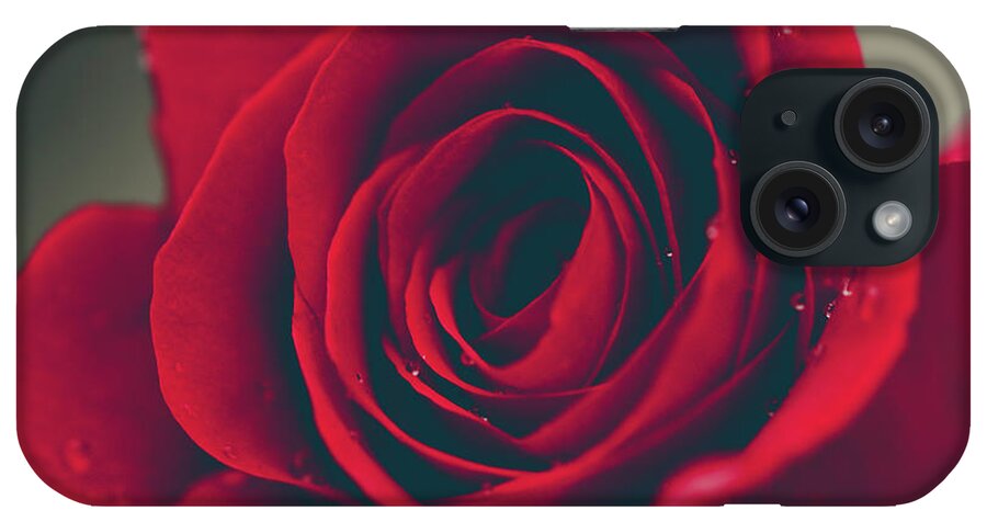 Floral iPhone Case featuring the photograph Red Rose Floral Bliss by Sharon Mau
