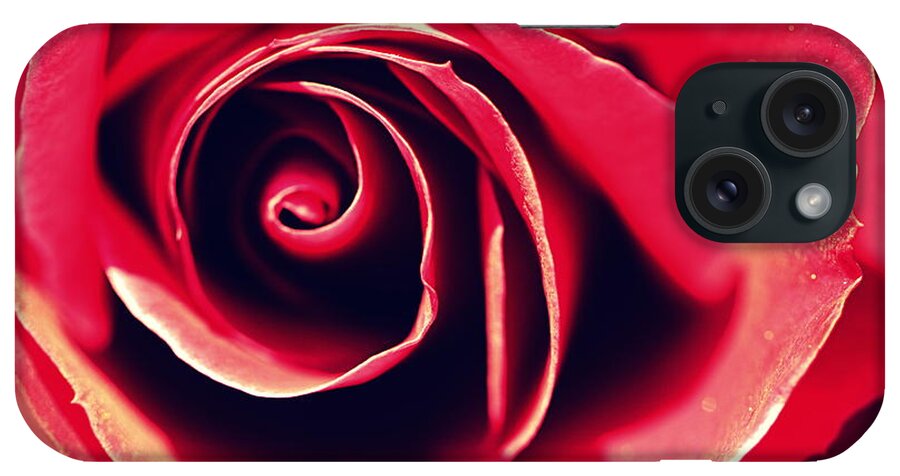 Flower iPhone Case featuring the photograph Red Rose by Joseph Skompski
