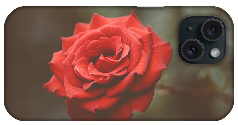 Red Rose iPhone Case featuring the photograph Red Rose by Marco Oliveira