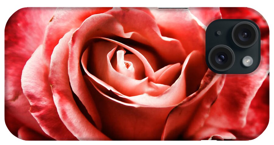 Red Rose iPhone Case featuring the photograph Red Rose by Mariola Bitner