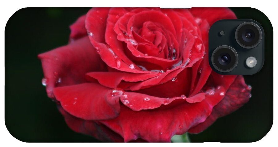 Red Rose iPhone Case featuring the photograph Red Rose by Martina Fagan