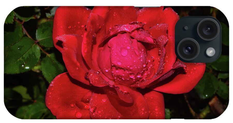 Red Rose iPhone Case featuring the photograph Red Rose With Dewdrops 014 by George Bostian