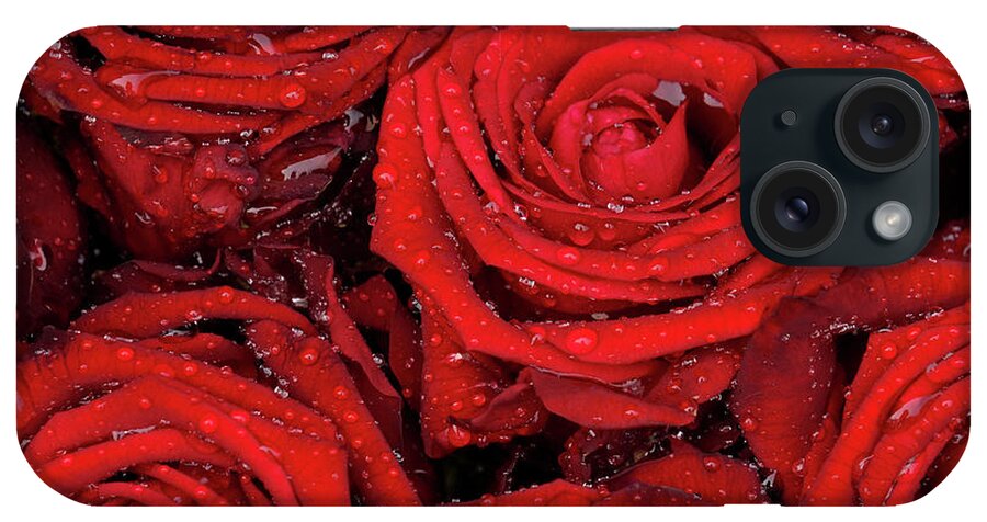 Rose iPhone Case featuring the photograph Red Roses Rain - 365-364 by Inge Riis McDonald