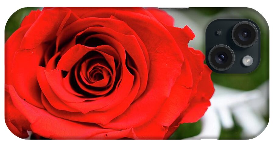 Roses iPhone Case featuring the photograph Red Rosie by Cindy Manero
