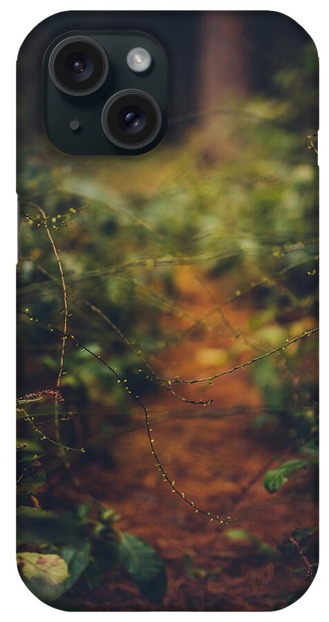 Forest iPhone Case featuring the photograph Red Rover Red Rover by Shane Holsclaw