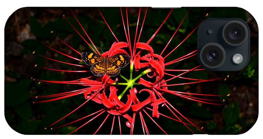Spiser Lily iPhone Case featuring the photograph Red Spider Lily and Painted Lady Butterfly 001 by George Bostian