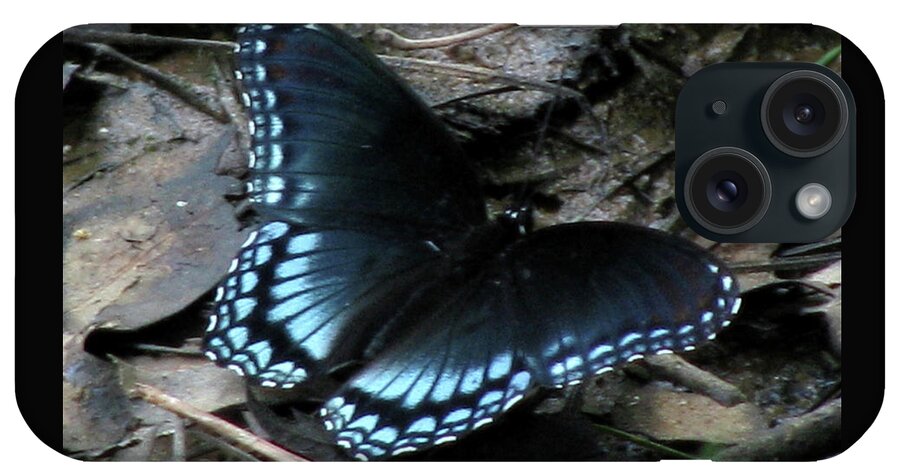Butterfly iPhone Case featuring the photograph Red Spotted Purple Swallowtail Butterfly by Donna Brown
