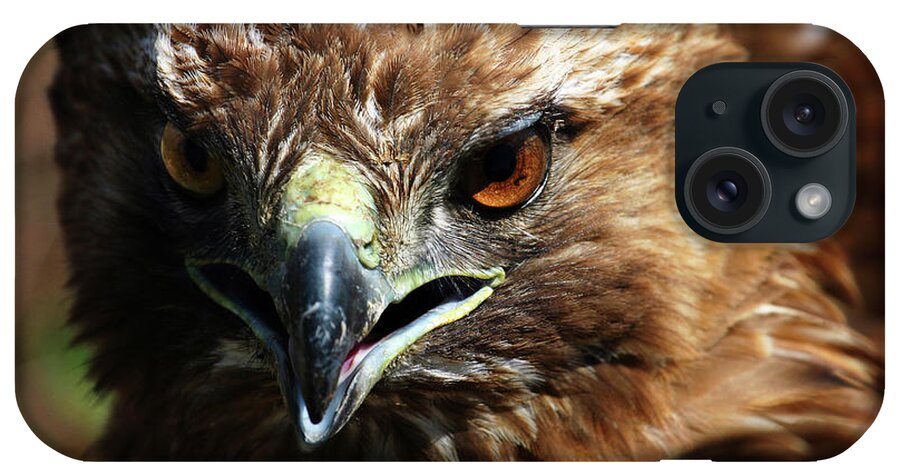 Red-tail Hawk iPhone Case featuring the photograph Red-Tail Hawk Portrait by Anthony Jones