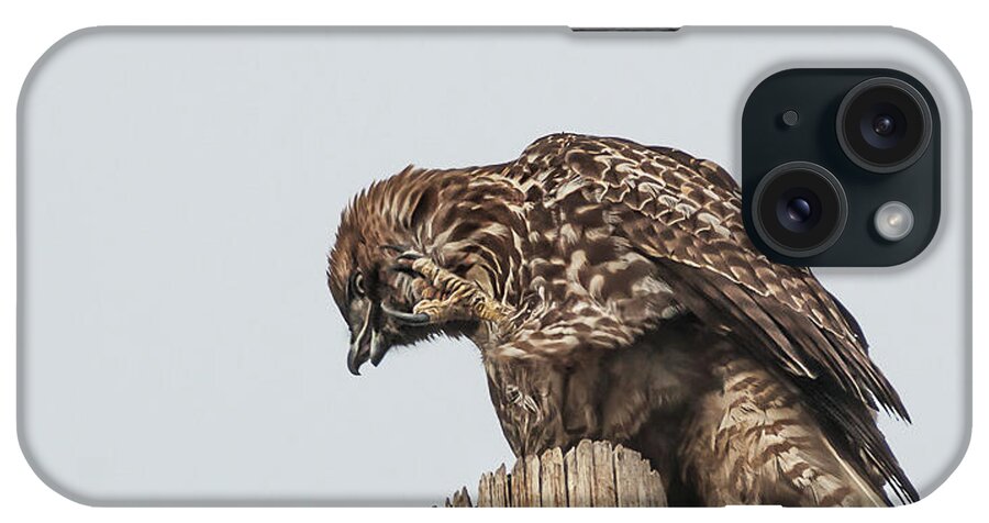 Buteo iPhone Case featuring the photograph Red Tailed Hawk 8 by Rick Mosher