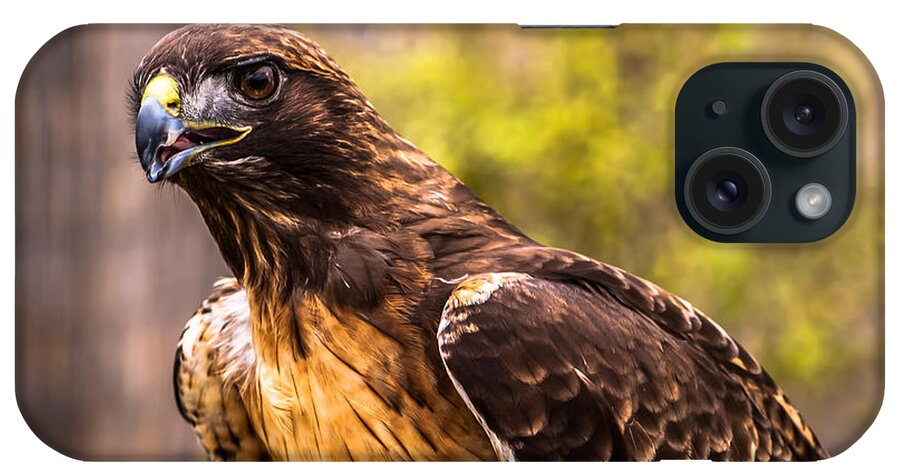 Raptor iPhone Case featuring the photograph Red Tailed Hawk Profile 2 by Blake Webster