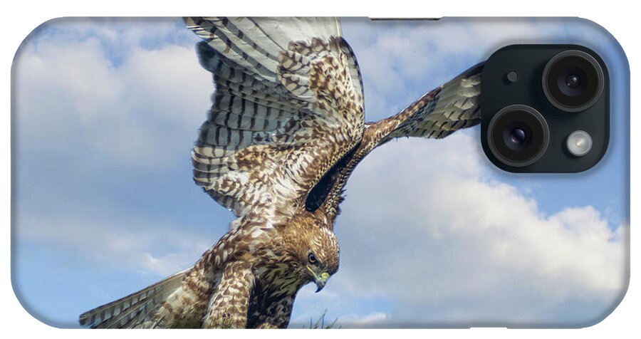 Hawk iPhone Case featuring the photograph Red Tailed hawk Wings 2 by Rick Mosher