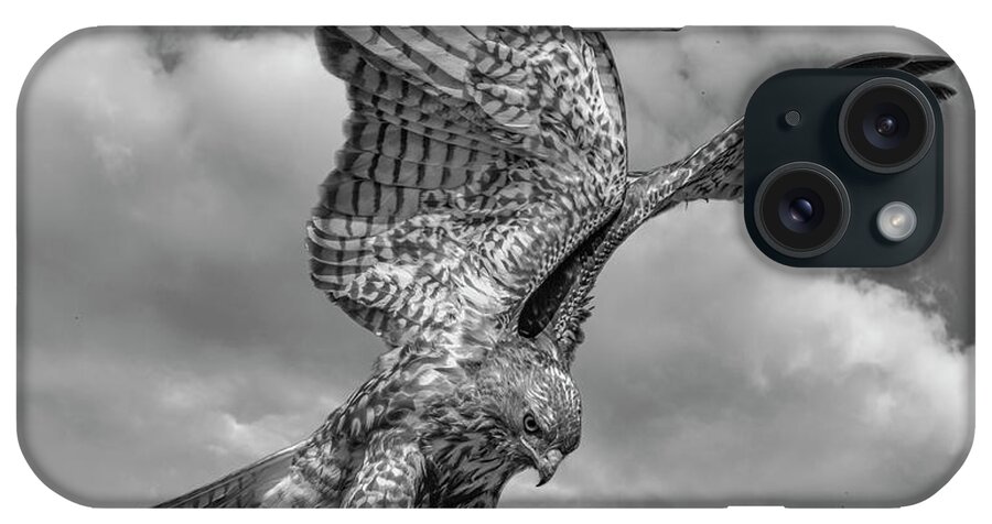 Hawk iPhone Case featuring the photograph Red tailed Hawk Wings BW by Rick Mosher