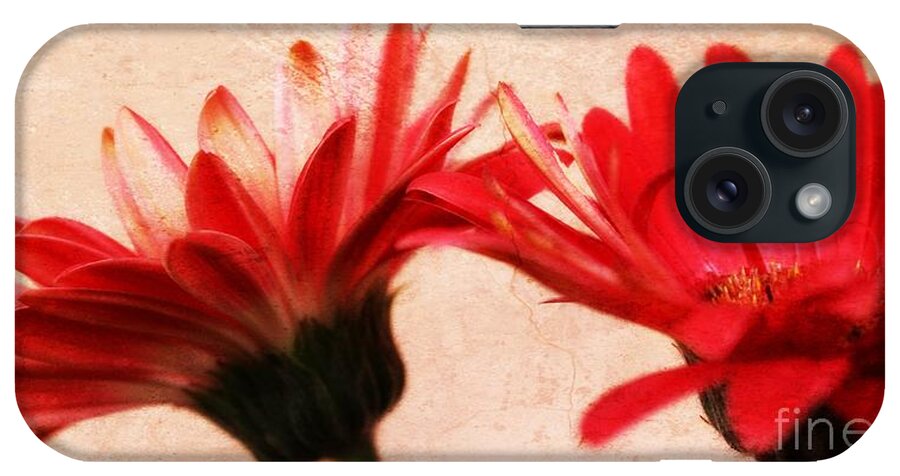 Gerbera iPhone Case featuring the photograph Red Texture by Clare Bevan