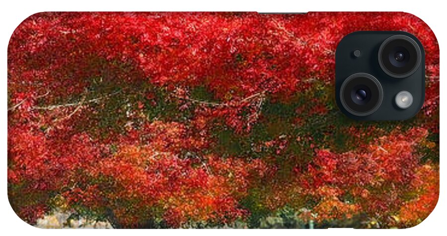 Fresno Streets iPhone Case featuring the painting Red Trees by Gail Daley