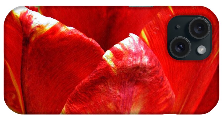 Tulip iPhone Case featuring the photograph Red Tulip by Sarah Loft