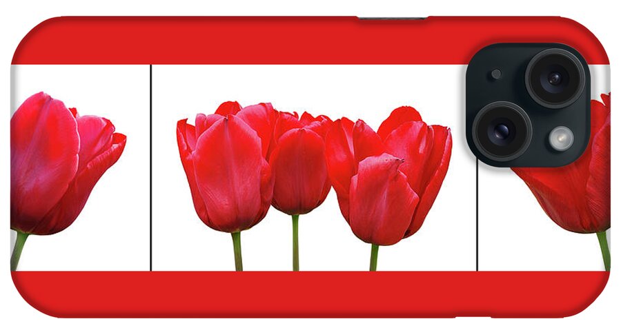 Red Tulip iPhone Case featuring the photograph Red Tulip Triptych on White by Gill Billington