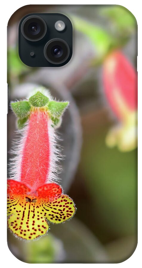 Flowers iPhone Case featuring the photograph Red, yellow and furry by Ian Sempowski