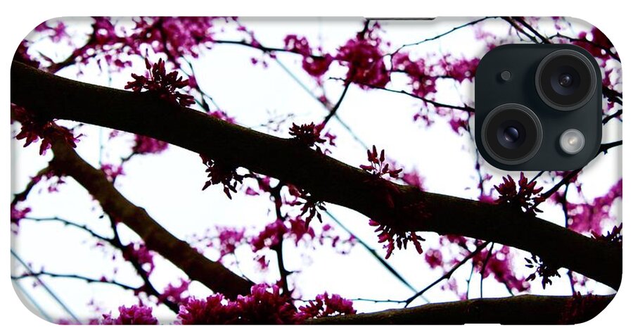 Photography iPhone Case featuring the photograph Redbud Blooming Branches by M E