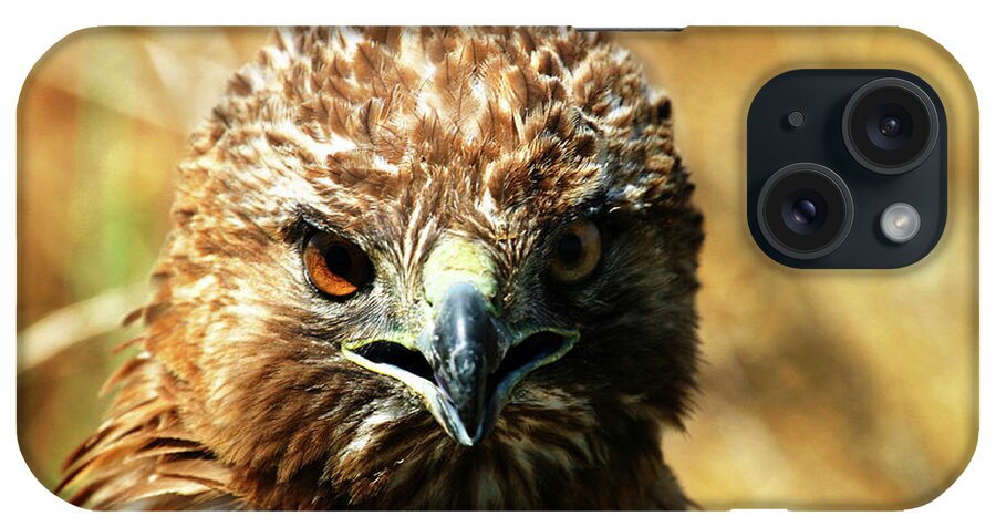 Redtail Hawk iPhone Case featuring the photograph Redtail Hawk by Anthony Jones