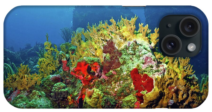 Coral Reef iPhone Case featuring the photograph Reef Scene with Divers Bubbles by Pauline Walsh Jacobson
