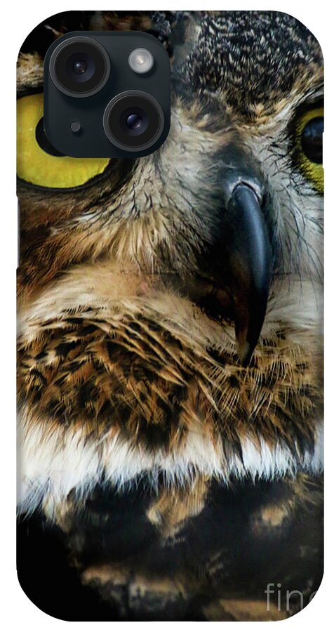 Owls iPhone Case featuring the photograph Reelfoot Lake Owls by Veronica Batterson