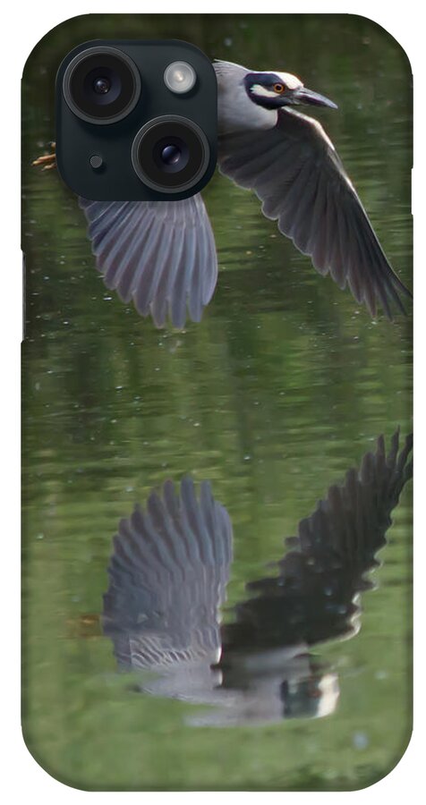 Bird iPhone Case featuring the photograph Reflecting on Flight by Shane Bechler
