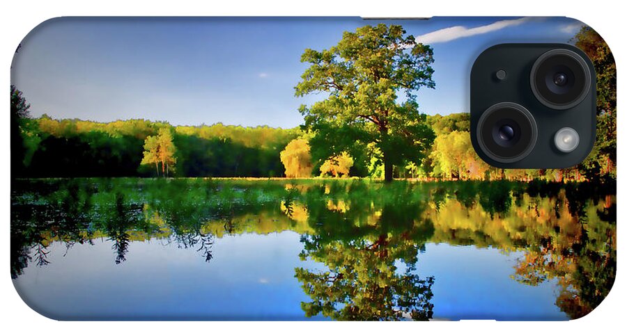 Swamp iPhone Case featuring the photograph Reflecting Pond by David Henningsen