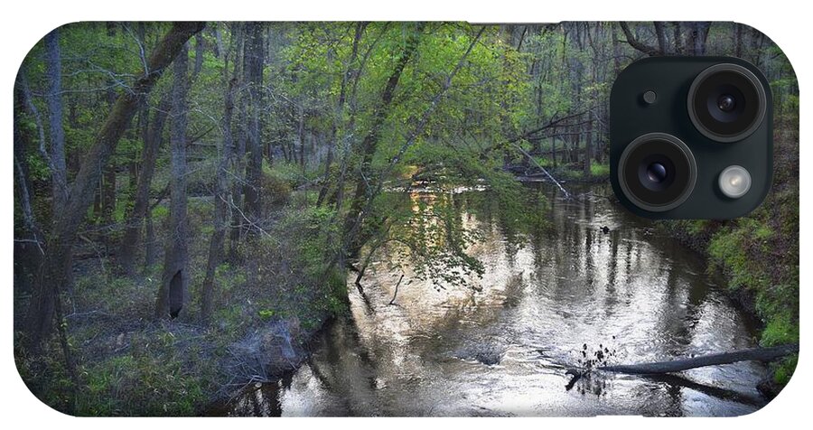 Nature iPhone Case featuring the photograph Reflections On The Congaree Creek by Skip Willits