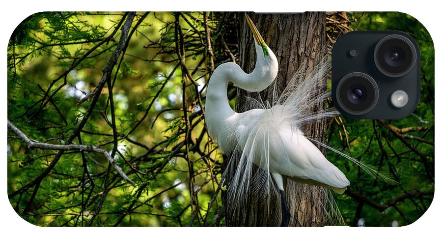 Egret iPhone Case featuring the photograph Regal Egret by David Smith