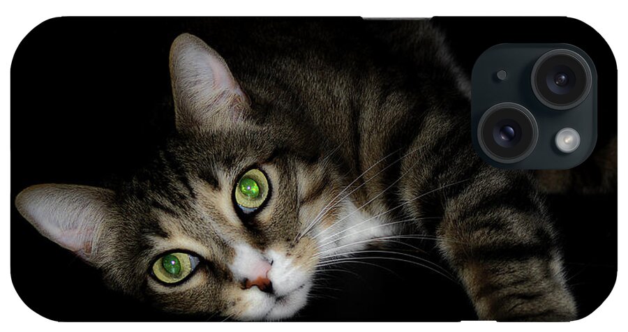Cat iPhone Case featuring the photograph Relaxation by Mike Eingle