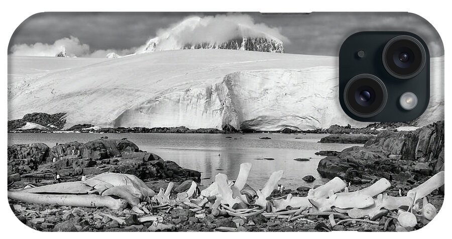 Antarctica iPhone Case featuring the photograph Remains of a Giant by Alan Toepfer