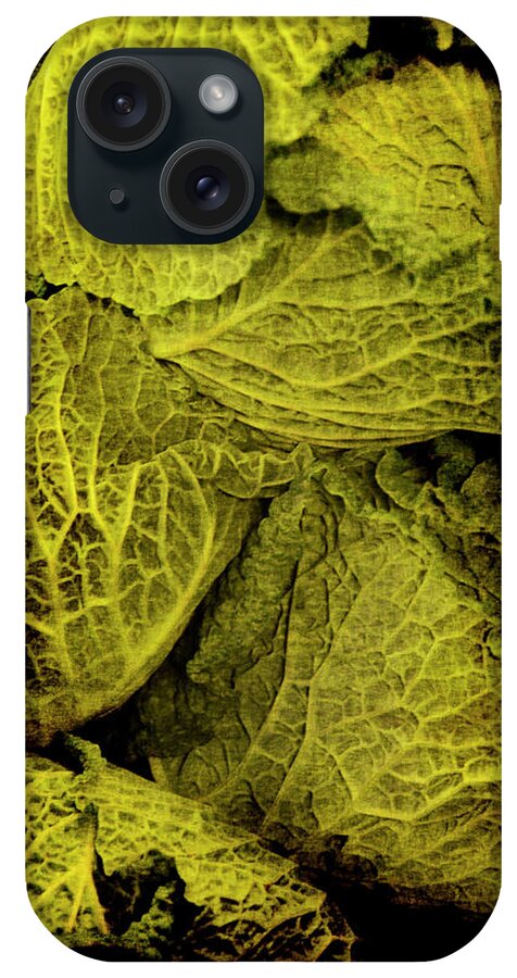 Renaissance iPhone Case featuring the photograph Renaissance Chinese Cabbage by Jennifer Wright