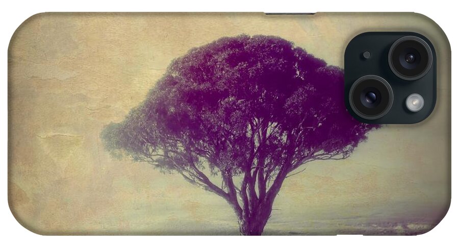 Tree iPhone Case featuring the photograph Revelation - 113vt by Variance Collections