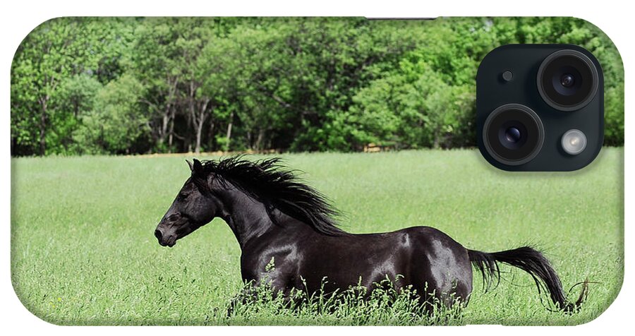 Rosemary Farm Sanctuary iPhone Case featuring the photograph The wind in Stardust Meadows by Carien Schippers