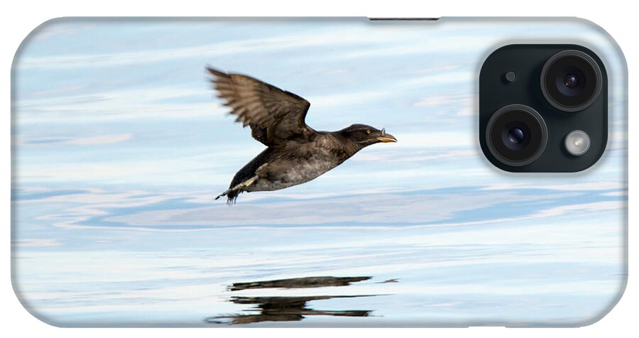 Rhinoceros Auklet iPhone Case featuring the photograph Rhinoceros Auklet Reflection by Michael Dawson