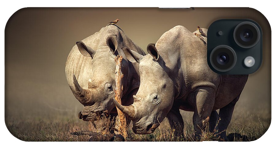 Rhinoceros iPhone Case featuring the photograph Rhino's with birds by Johan Swanepoel