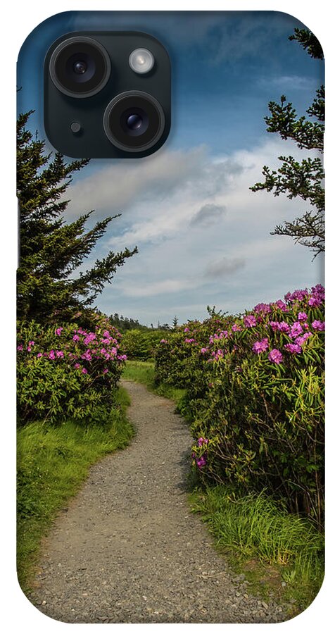 Adventure iPhone Case featuring the photograph Rhododendron Line the Trail by Kelly VanDellen